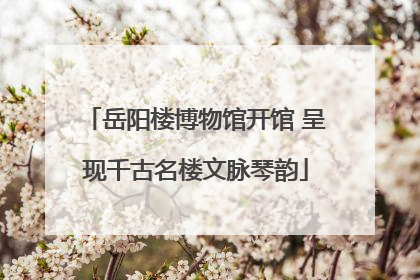 岳阳楼博物馆开馆 呈现千古名楼文脉琴韵