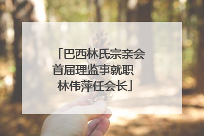巴西林氏宗亲会首届理监事就职 林伟萍任会长