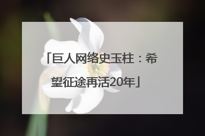 巨人网络史玉柱：希望征途再活20年