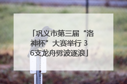 巩义市第三届“洛神杯”大赛举行 36支龙舟劈波逐浪