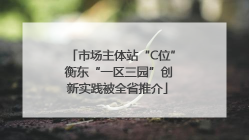 市场主体站“C位” 衡东“一区三园”创新实践被全省推介