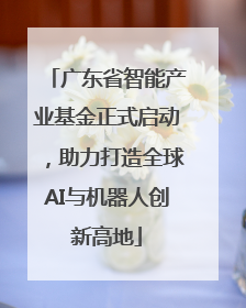 广东省智能产业基金正式启动，助力打造全球AI与机器人创新高地