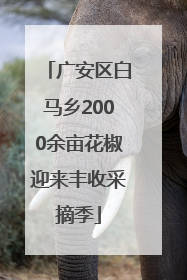 广安区白马乡2000余亩花椒迎来丰收采摘季