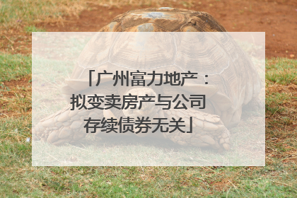广州富力地产：拟变卖房产与公司存续债券无关