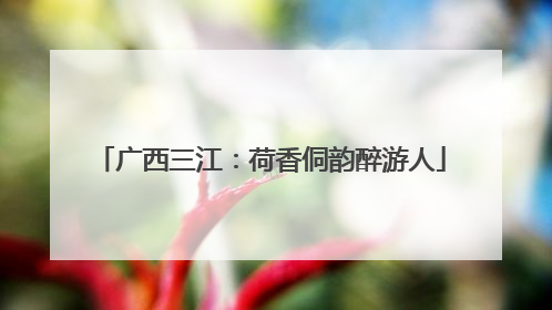 广西三江：荷香侗韵醉游人