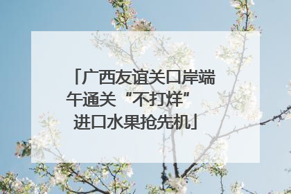 广西友谊关口岸端午通关“不打烊” 进口水果抢先机