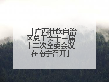 广西壮族自治区总工会十三届十二次全委会议在南宁召开