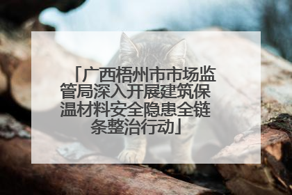 广西梧州市市场监管局深入开展建筑保温材料安全隐患全链条整治行动