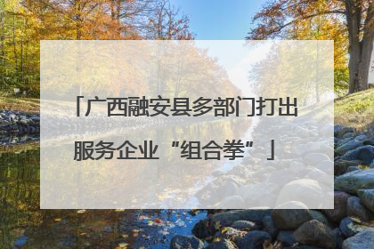 广西融安县多部门打出服务企业“组合拳”