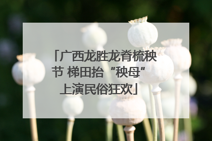 广西龙胜龙脊梳秧节 梯田抬“秧母”上演民俗狂欢