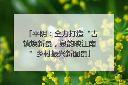 平阴：全力打造“古镇焕新景，泉韵映江南”乡村振兴新图景
