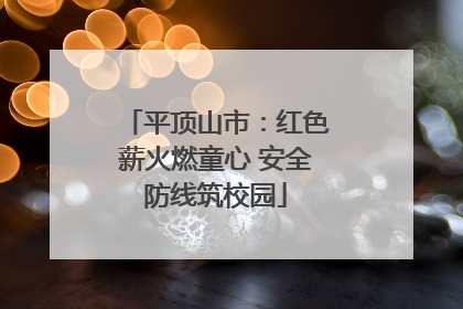 平顶山市：红色薪火燃童心 安全防线筑校园