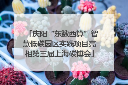 庆阳“东数西算”智慧低碳园区实践项目亮相第三届上海碳博会
