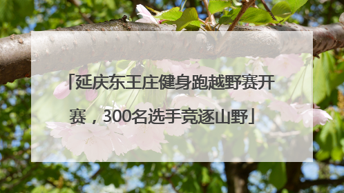 延庆东王庄健身跑越野赛开赛，300名选手竞逐山野