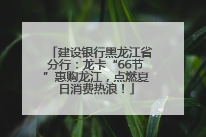 建设银行黑龙江省分行：龙卡“66节”惠购龙江，点燃夏日消费热浪！