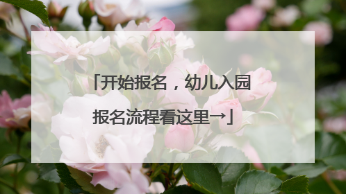 开始报名，幼儿入园报名流程看这里→