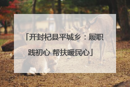 开封杞县平城乡：履职践初心 帮扶暖民心