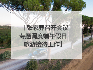 张家界召开会议专题调度端午假日旅游接待工作