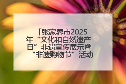 张家界市2025年“文化和自然遗产日”非遗宣传展示暨“非遗购物节”活动在慈利县盛大启幕