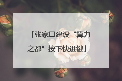 张家口建设“算力之都”按下快进键