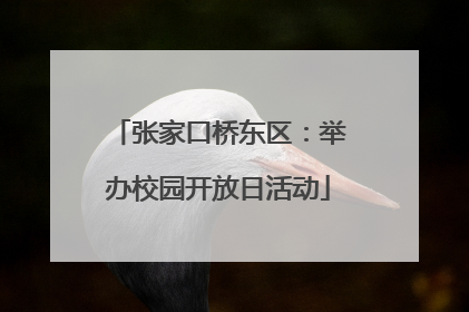 张家口桥东区：举办校园开放日活动