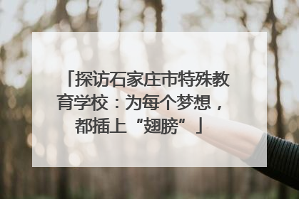 探访石家庄市特殊教育学校：为每个梦想，都插上“翅膀”