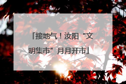 接地气！汝阳“文明集市”月月开市