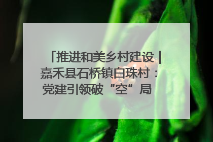 推进和美乡村建设｜嘉禾县石桥镇白珠村：党建引领破“空”局 乡贤聚力绘就新图景