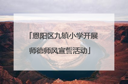 恩阳区九镇小学开展师德师风宣誓活动