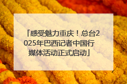感受魅力重庆！总台2025年巴西记者中国行媒体活动正式启动