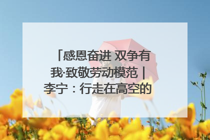 感恩奋进 双争有我·致敬劳动模范｜李宁：行走在高空的“电网卫士”