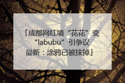成都网红墙“花花”变“labubu”引争议 最新：涂鸦已被抹掉