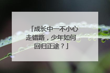 成长中一不小心走错路，少年如何回归正途？