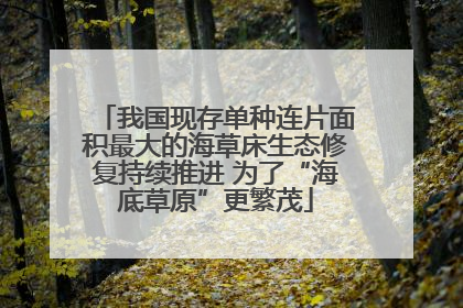 我国现存单种连片面积最大的海草床生态修复持续推进 为了“海底草原”更繁茂