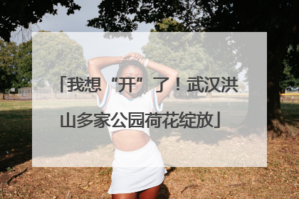 我想“开”了！武汉洪山多家公园荷花绽放