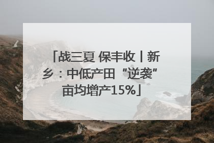 战三夏 保丰收丨新乡：中低产田“逆袭” 亩均增产15%
