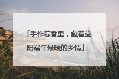 手作粽香里，藏着益阳端午最暖的乡情
