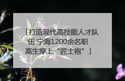 打造现代高技能人才队伍 宁海1200余名职高生穿上“匠士袍”