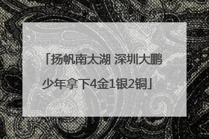 扬帆南太湖 深圳大鹏少年拿下4金1银2铜