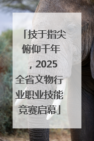 技于指尖 俯仰千年，2025全省文物行业职业技能竞赛启幕