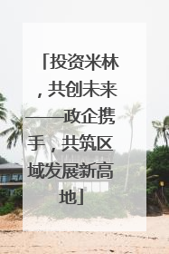 投资米林，共创未来——政企携手，共筑区域发展新高地