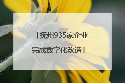 抚州935家企业完成数字化改造