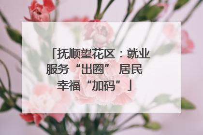 抚顺望花区：就业服务“出圈” 居民幸福“加码”