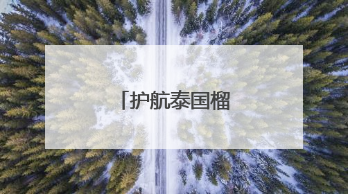 护航泰国榴莲快速通关