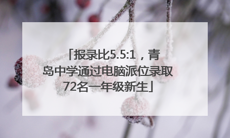 报录比5.5:1，青岛中学通过电脑派位录取72名一年级新生