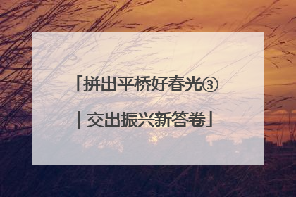 拼出平桥好春光③｜交出振兴新答卷