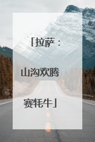 拉萨：山沟欢腾赛牦牛