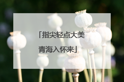 指尖轻点大美青海入怀来