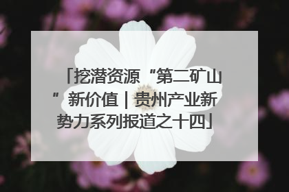 挖潜资源“第二矿山”新价值｜贵州产业新势力系列报道之十四