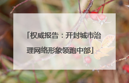 权威报告：开封城市治理网络形象领跑中部